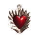 Sagrado corazón con halo de llamas