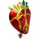 Anatomical heart tin ornament