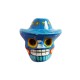 Blue Skull with sombrero magnet