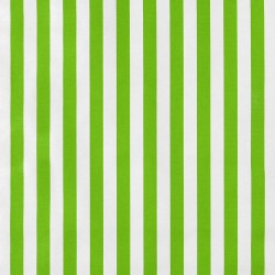 Green Rayas oilcloth