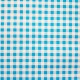 Blue Gingham oilcloth