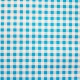 Blue Gingham oilcloth