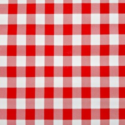 Red Check oilcloth