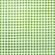 Green Gingham oilcloth