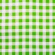 Green Gingham oilcloth