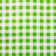 Green Gingham oilcloth