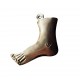 Left foot Tin milagro