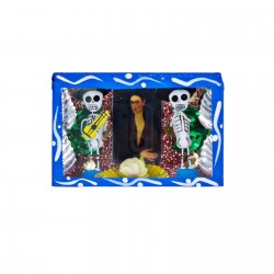 Boîte vitrine Viva Frida!