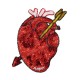 Anatomical heart Sequin patch
