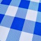 Blue Check oilcloth