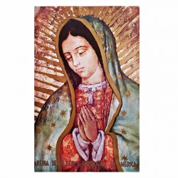 Virgin of Guadalupe Poster