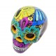 Calavera mexicaine colorée