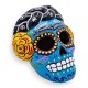 Frida Mexican Calavera